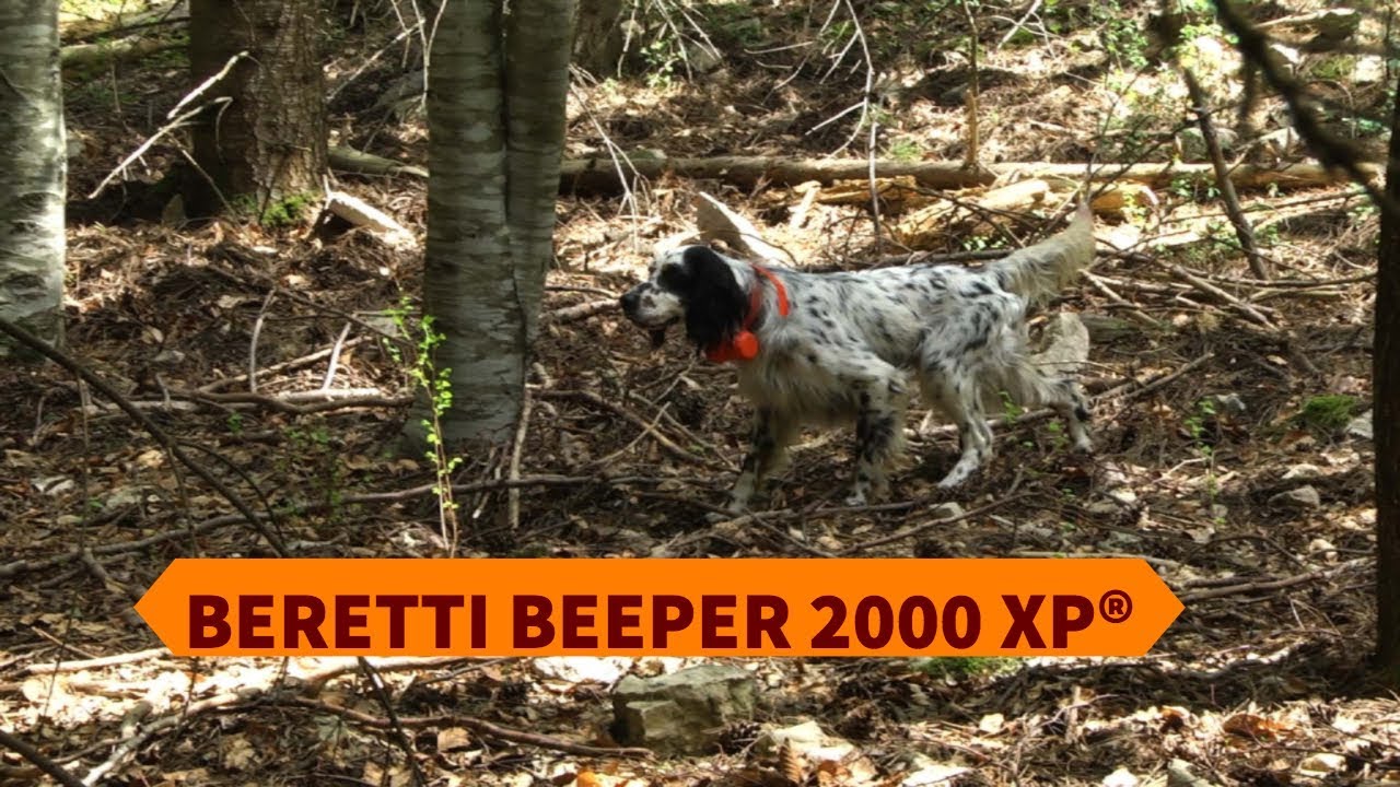 Beretti Beeper 2000 xp® per la caccia con i cani da ferma
