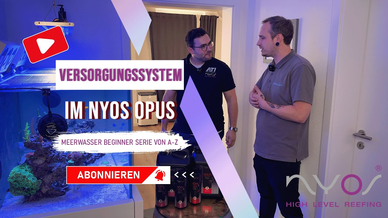 Versorgungssystem im Nyos Opus - Meerwasser Beginner Serie von A-Z