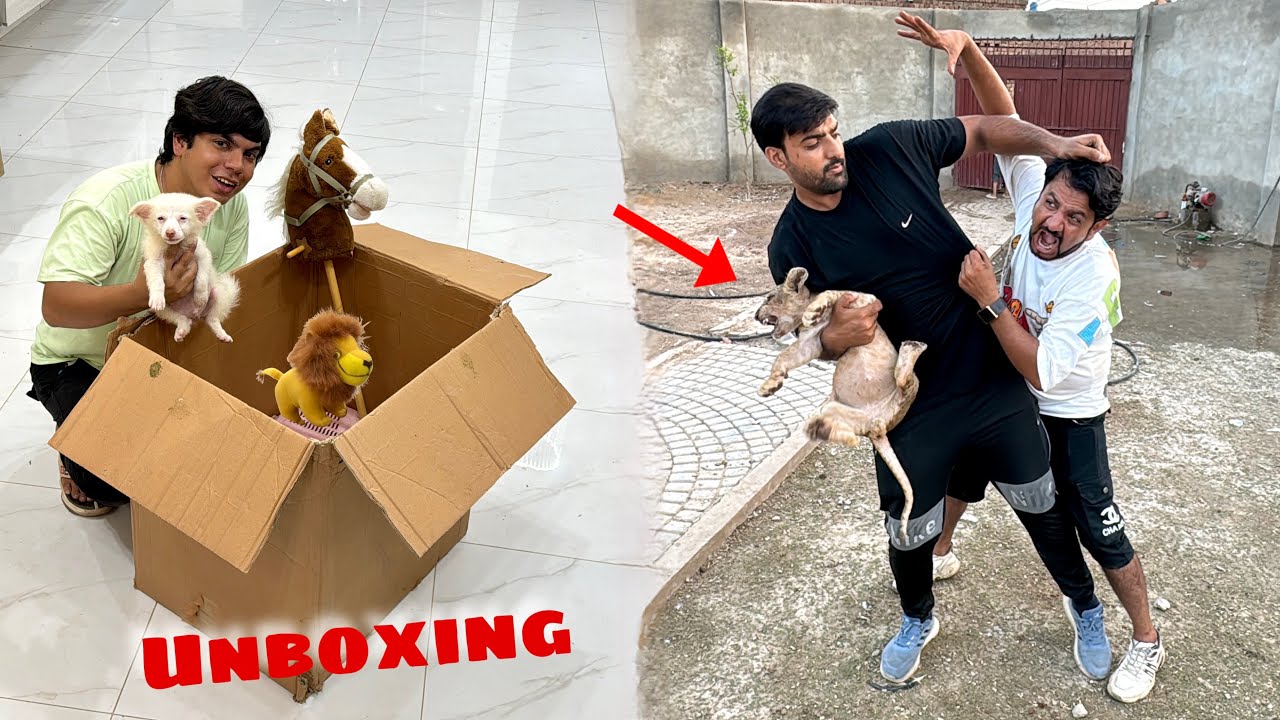 Mamu Or Inzi Ki Larai Ho Gai 😨 Mystery Box Unbox Kr Dea 😍