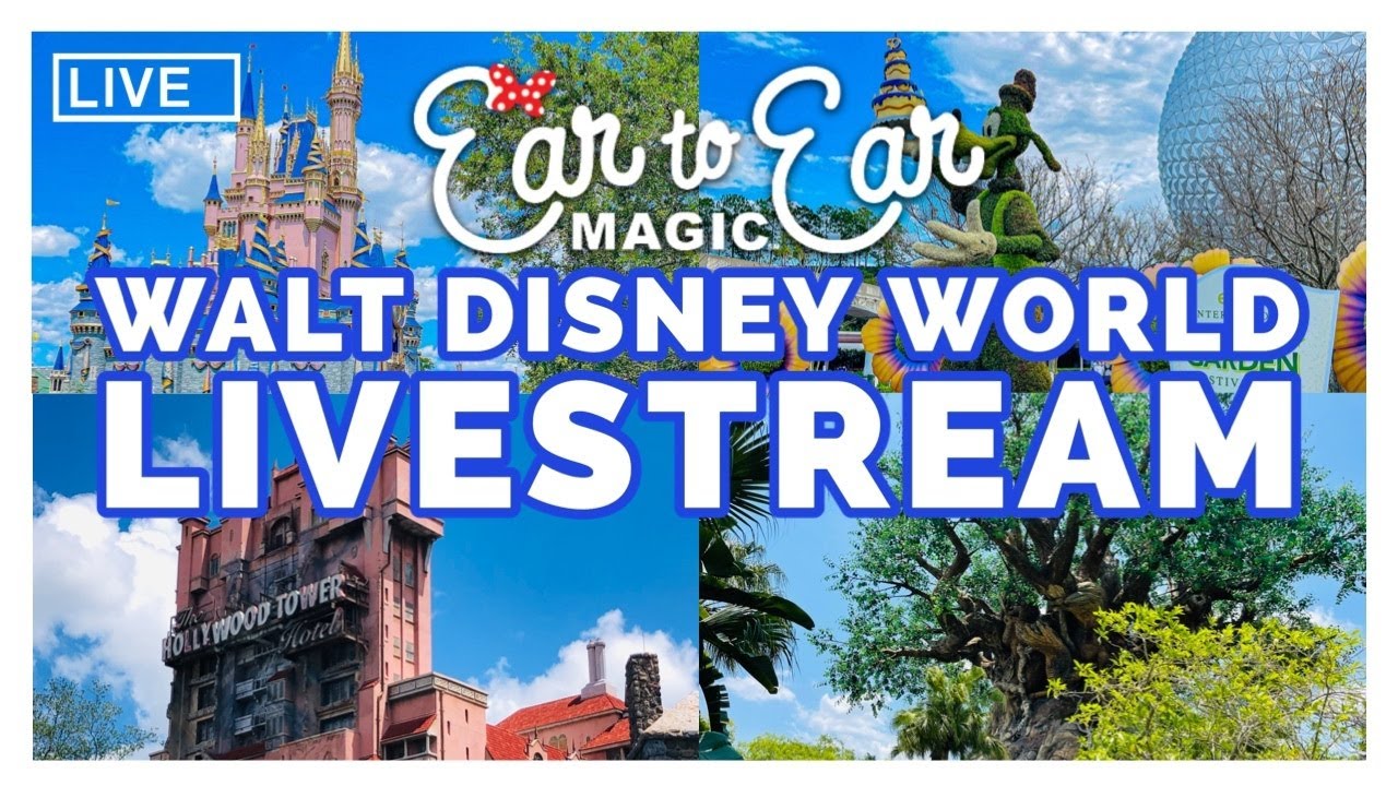 🔴 LIVE Disney Springs Live Stream 1.06.2026