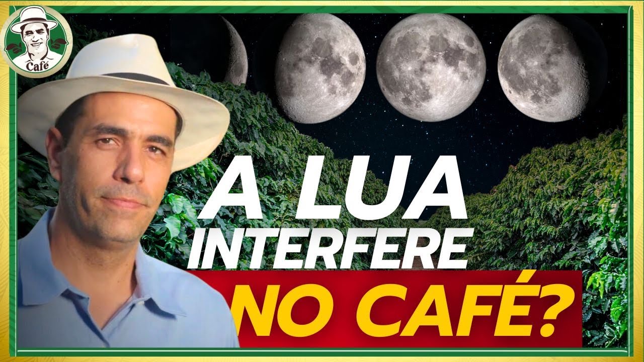 A lua e a lavoura: eu tenho a resposta!