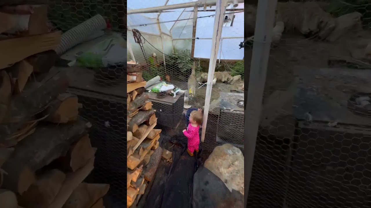 Полезный девайс для гровинга🥷 #lightmover#indoor#growing