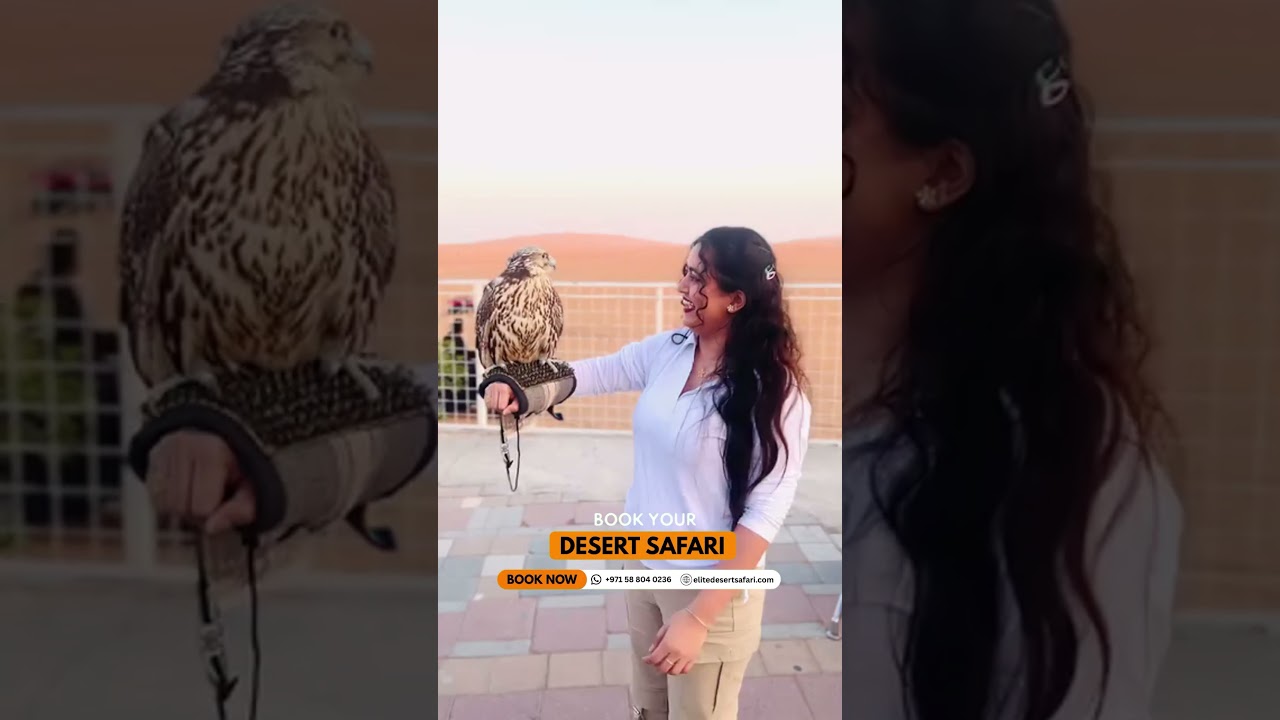 Falcon Experience in Dubai Desert Book Your Adventure