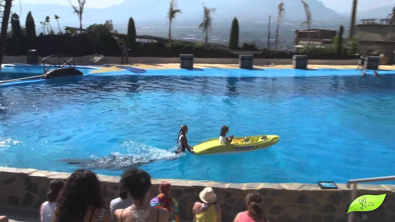 Fantastic Dolphin Show at Mundomar 2012, Benidorm Spain.