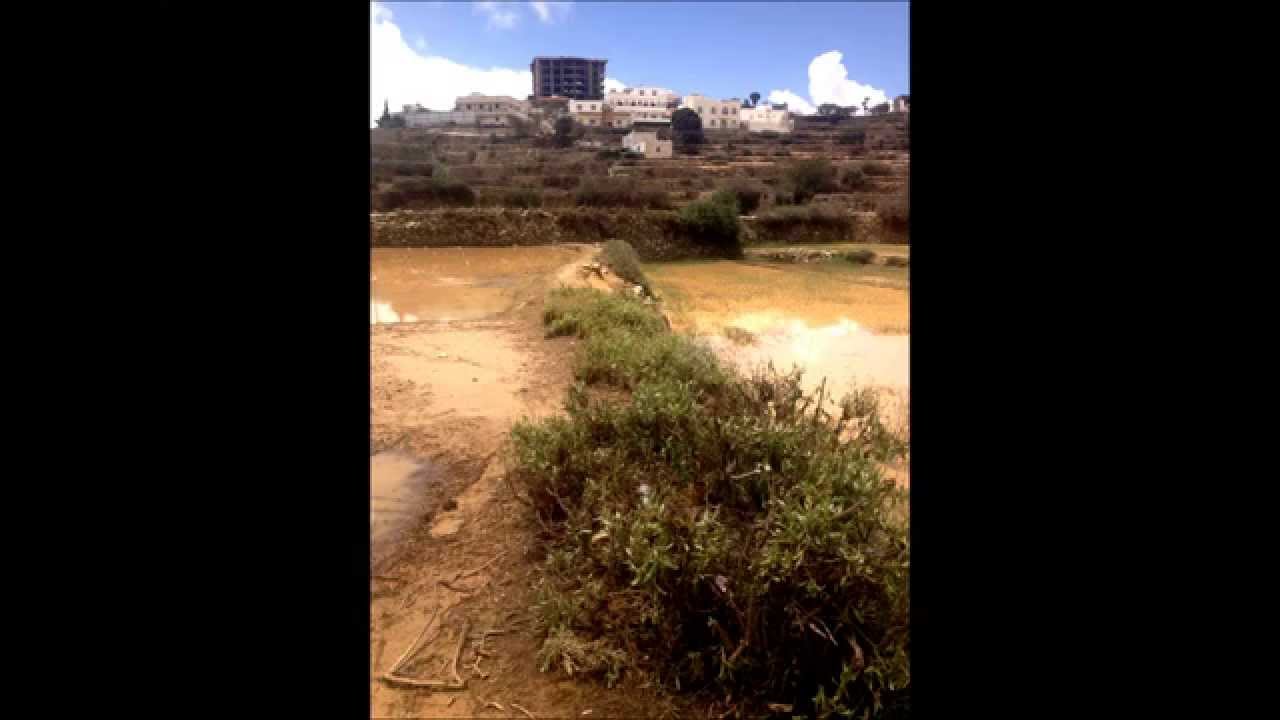 قرية ال عطيفة بني عمرو روعة