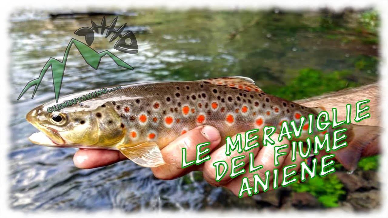 - LE MERAVIGLIE DEL FIUME ANIENE -