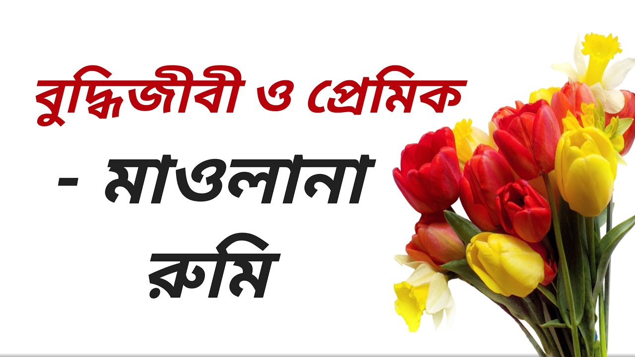 বুদ্ধিজীবী ও প্রেমিক - মাওলানা রুমির কবিতা । Jalaluddin Rumi Bangla Kobita । Rumi Poetry in Bangla ।