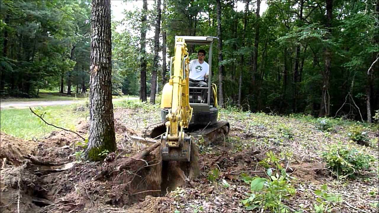 Mini excavator tree clearing