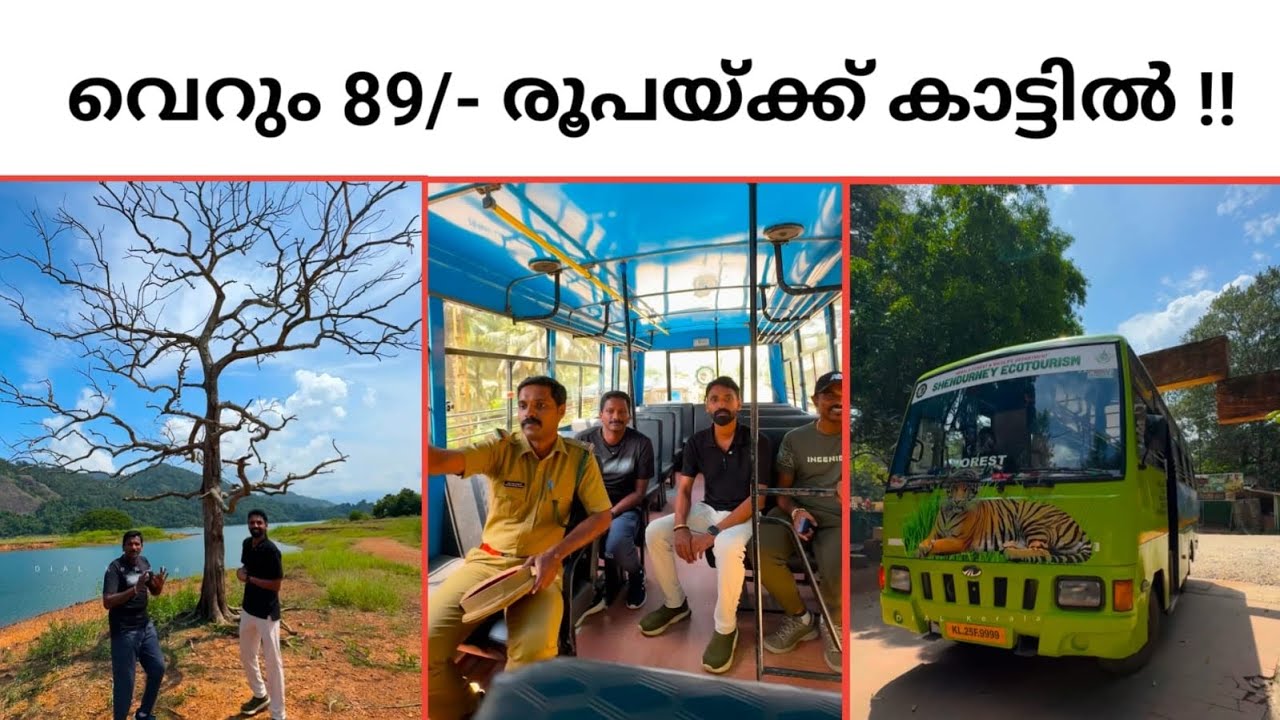 FOREST THENMALA | AMAZING KERALA TOUR