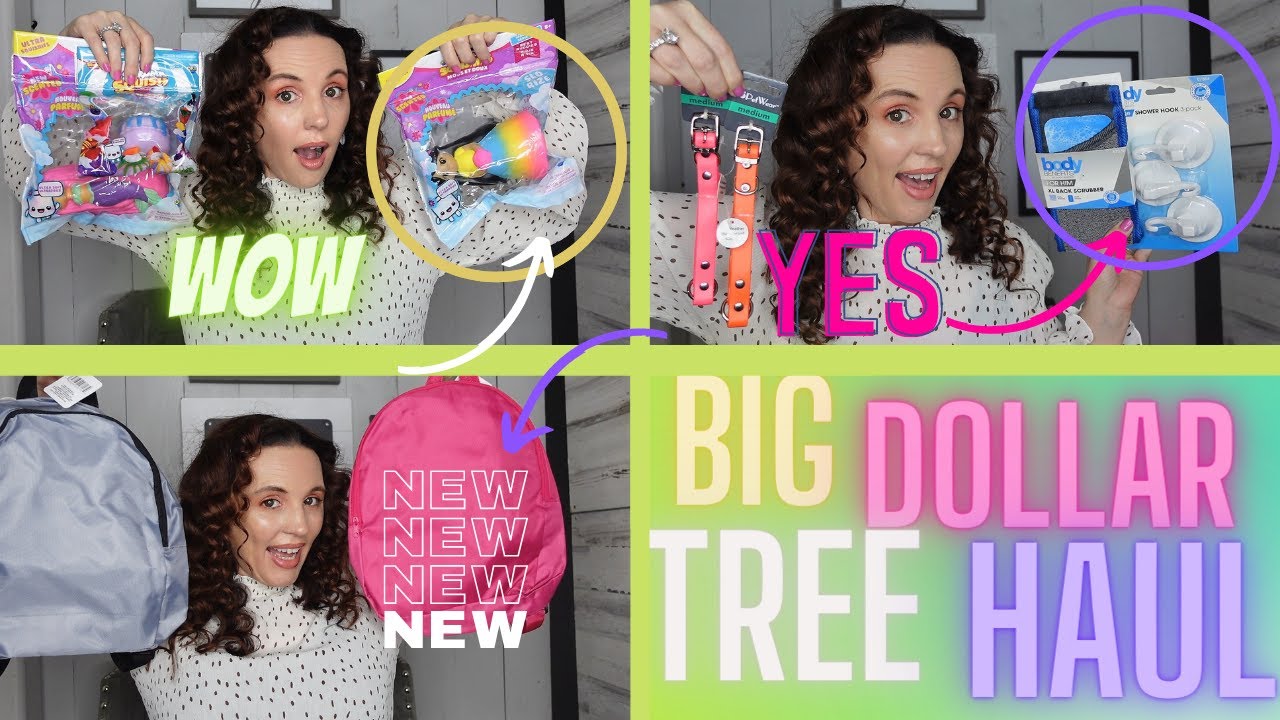 BIG DOLLAR TREE HAUL|WOW INCREDIBLE NEW FINDS!