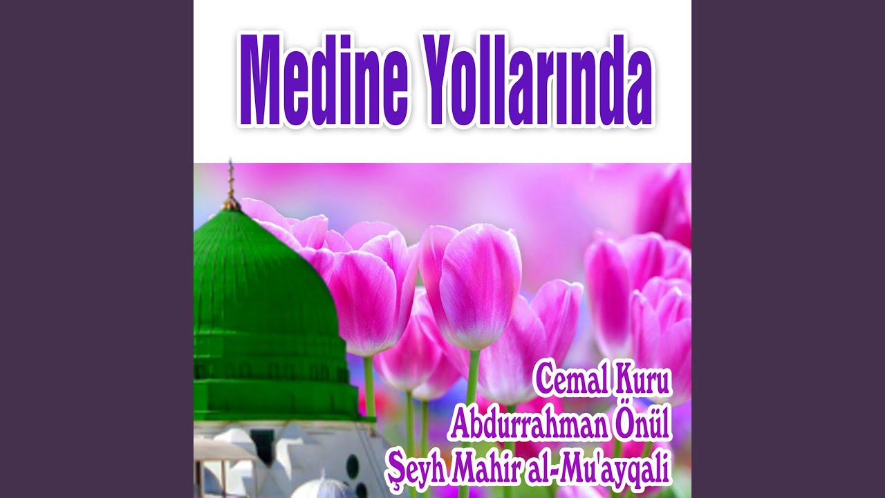 Medine Yolları