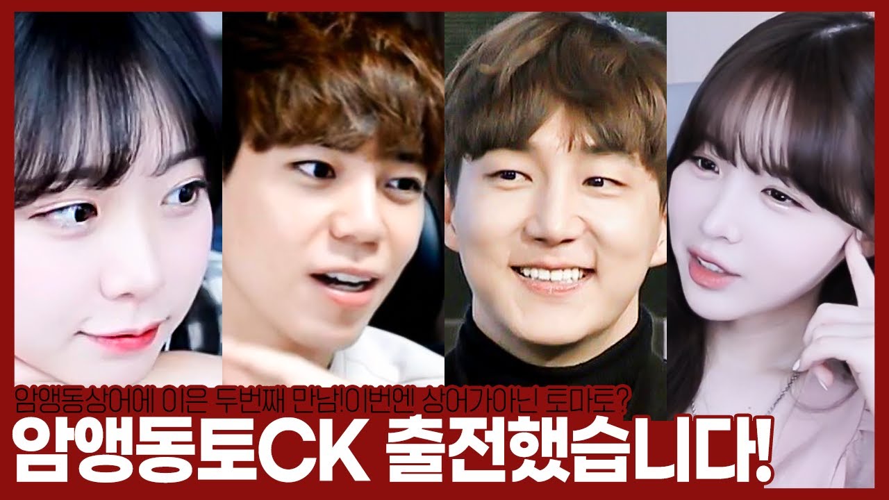 “언제 올지 모를 혼성CK 암앵동토 참여했습니다! 오늘은 상어녀대신 토마토? ” 【23.09.23-(1)】