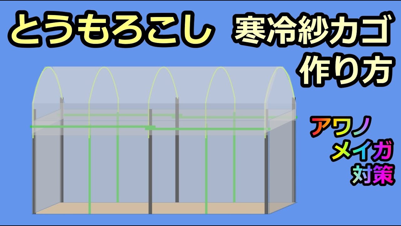 【保存版：アワノメイガ対策】トウモロコシ 寒冷紗ドームの作り方 無農薬 家庭菜園29年目