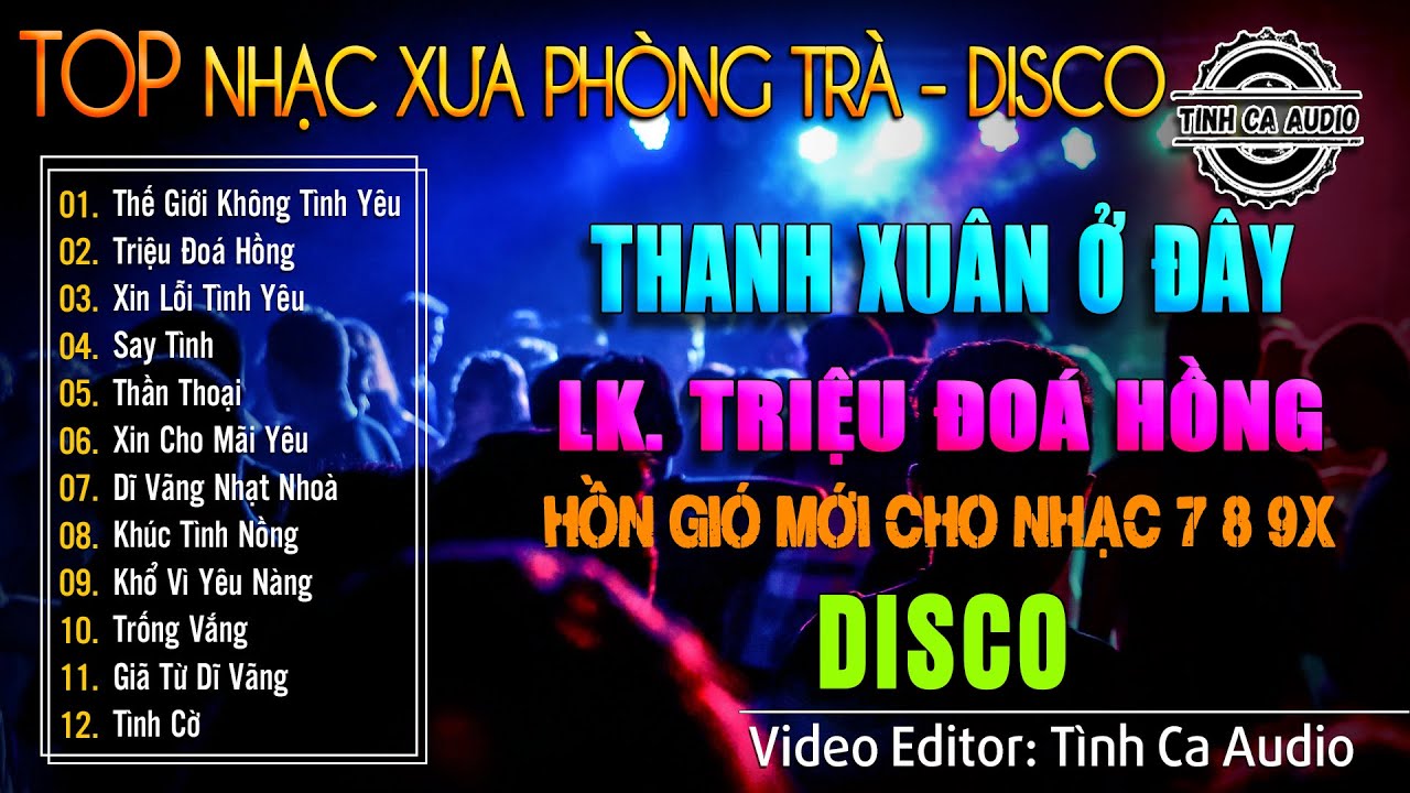 THANH XUÂN Ở ĐÂY - DISCO | LK TRIỆU ĐOÁ HỒNG - THỔI HỒN GIÓ MỚI CHO DÒNG NHẠC 7X 8X 9X