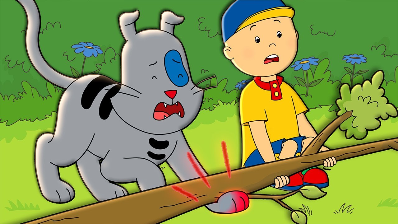 Caillou - Gilbert Veterinerde | Caillou Türkçe - WildBrain