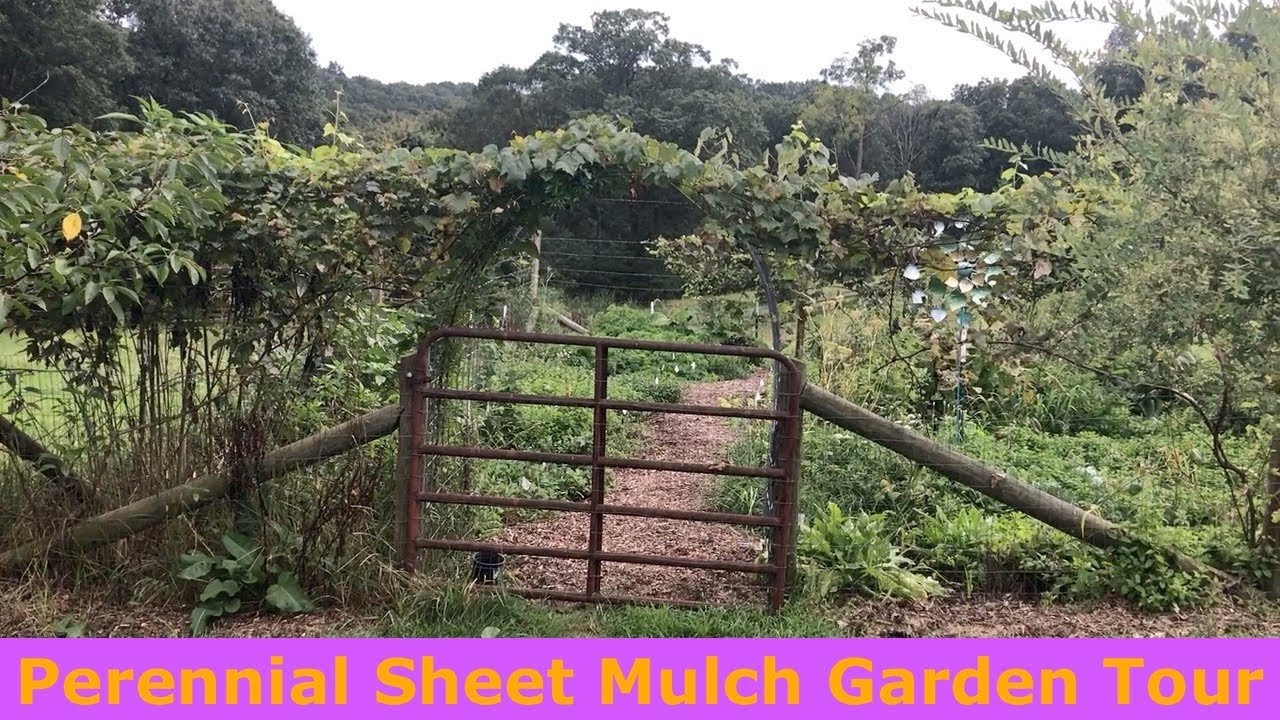 Perennial Sheet Mulch Garden Tour