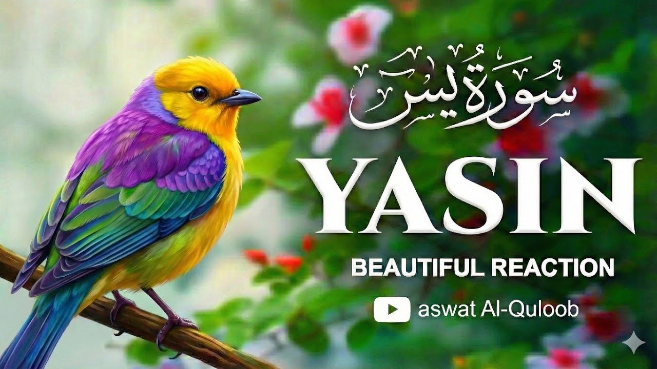 Surah Yaseen Full سورة یس | Beautiful & Heart Touching Quran Recitation | Peaceful Tilawat #surah