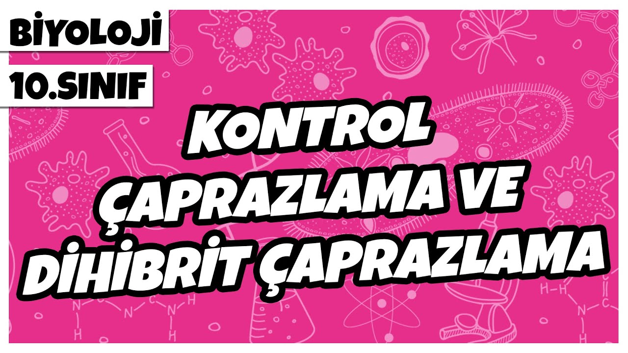10. Sınıf Biyoloji - Kontrol Çaprazlama ve Dihibrit Çaprazlama | 2022