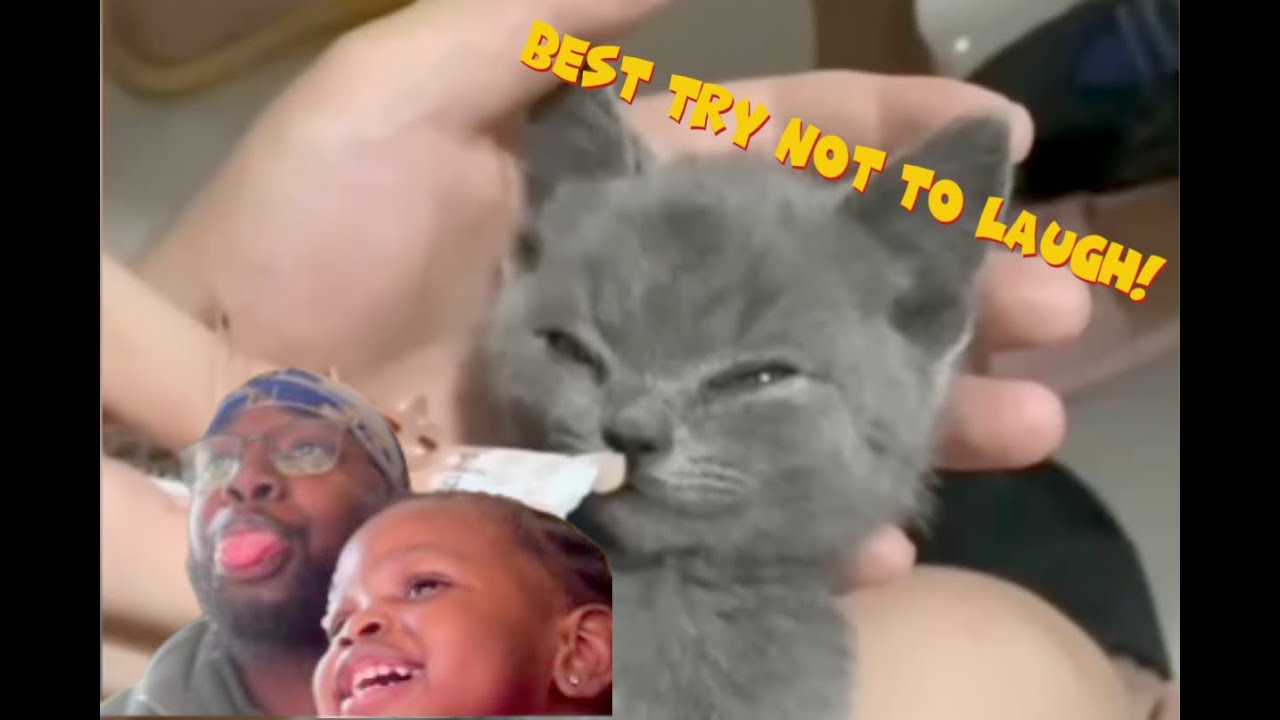 The HARDEST Try Not To Laugh...