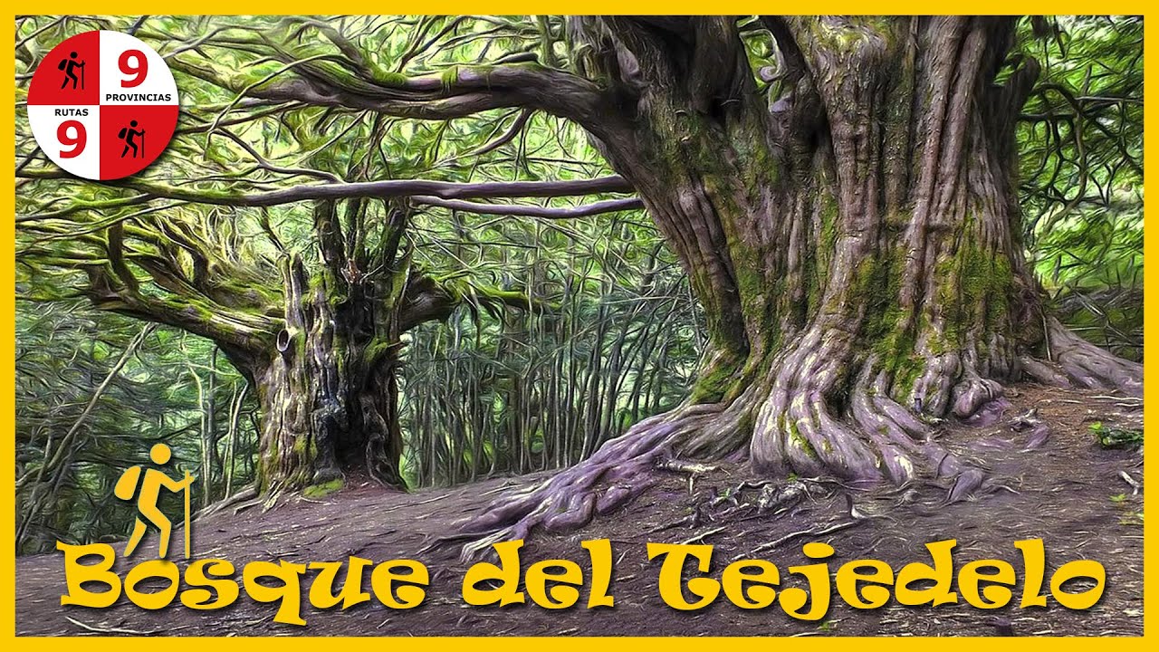 Bosque del Tejedelo. Etapa 7ª- Zamora / 9 Provincias & 9 Rutas