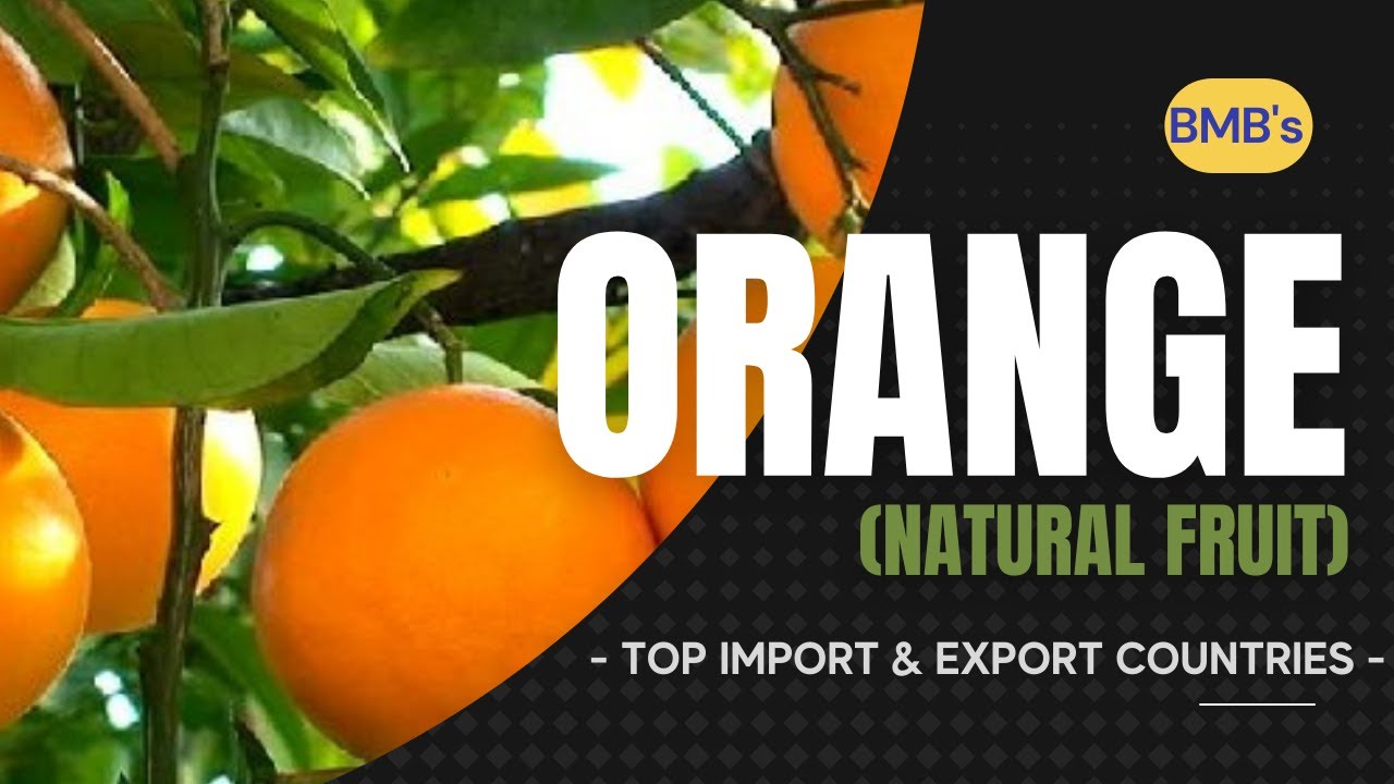 ORANGE TOP IMPORT & EXPORT COUNTRIES - ORANGE FARMING AND TOP PRODUCING WORLD COUNTRIES