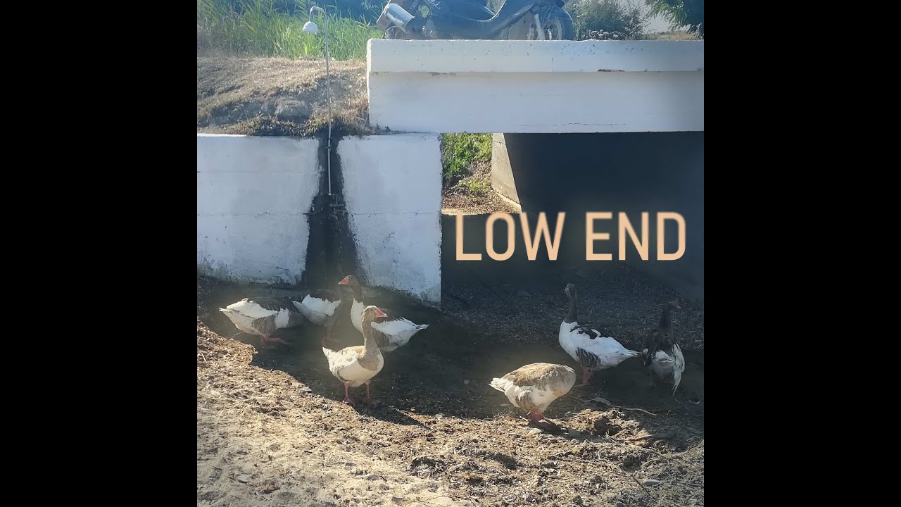 LOW END