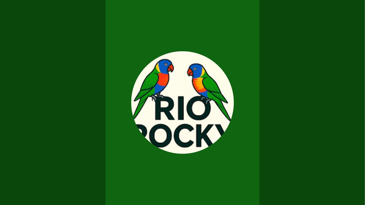 Rio and Rocky the rainbow lorikeets  is live