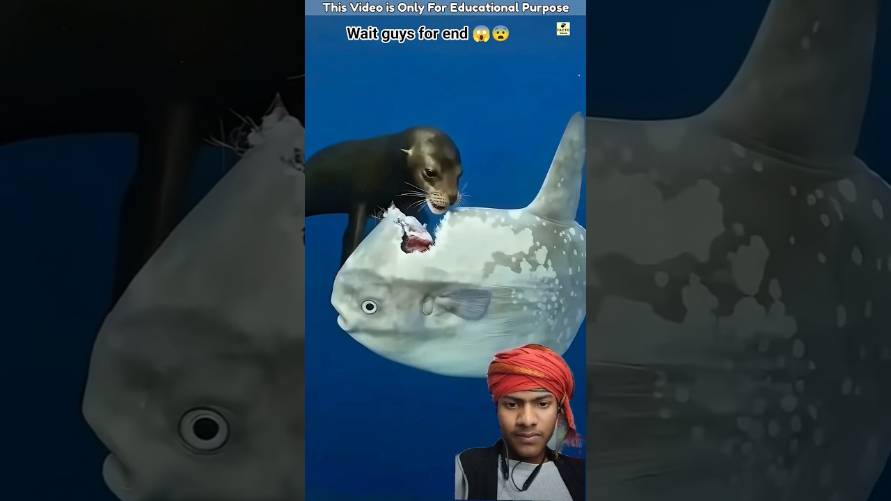 jinda machali kha Gya 😨😥 