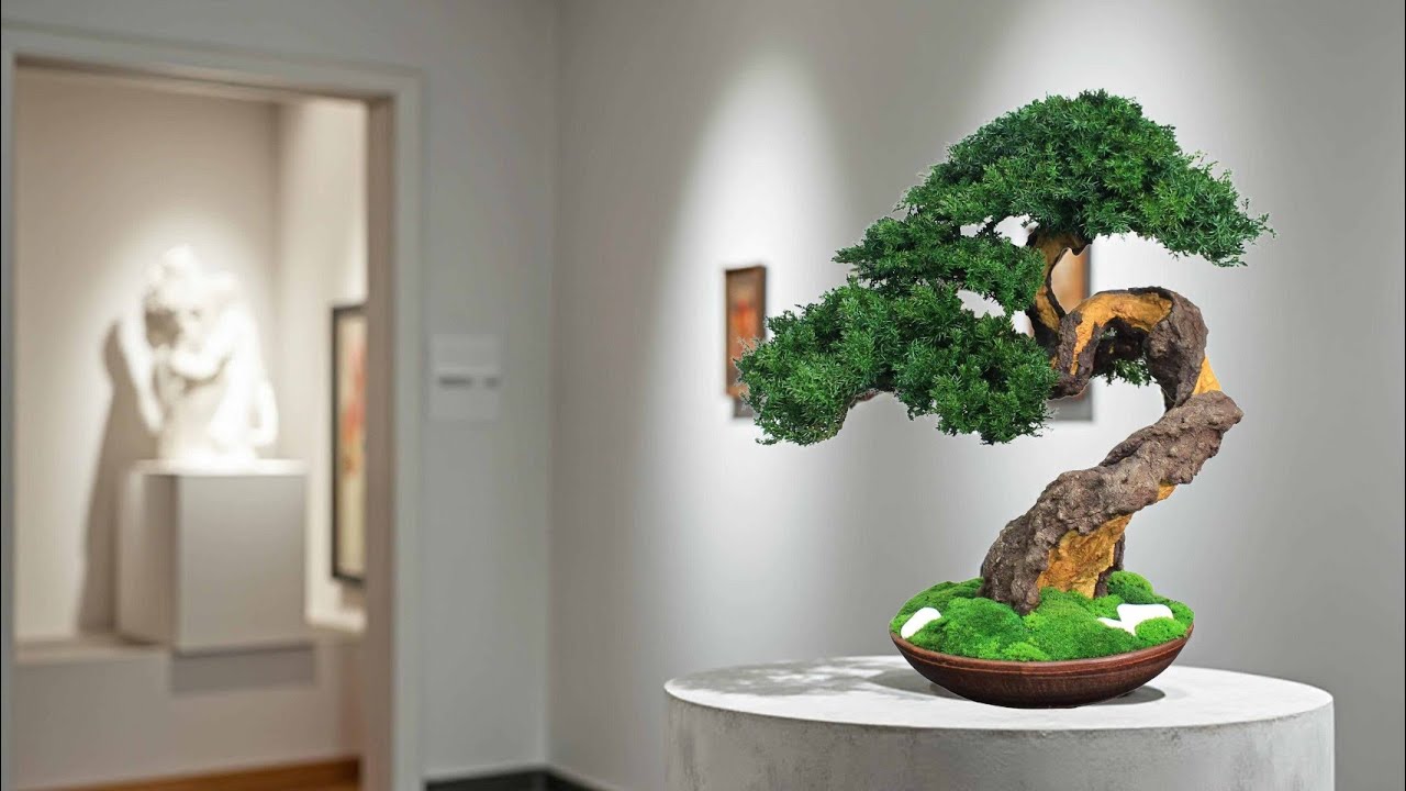 ArtBonsaitrees.com - Preserved Bonsai Tree - simply the best decor for your interior! 14,96