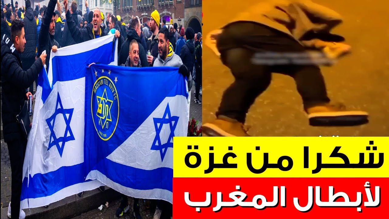 شباب مغاربة 🇲🇦 يدوسوا على الصهــ ـاينة في امستردام هولندا 🔥  من قلب غزة شكرا لأبطال المغرب العربي