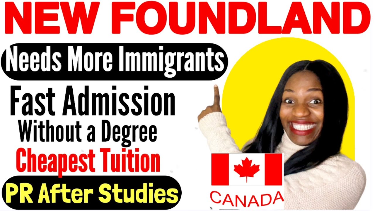 HOW TO MOVE TO CANADA IN 2024 | NEW FOUNDLAND NEEDS MORE IMMIGRANTS | NO DEGREE, NO IELTS | APPLY