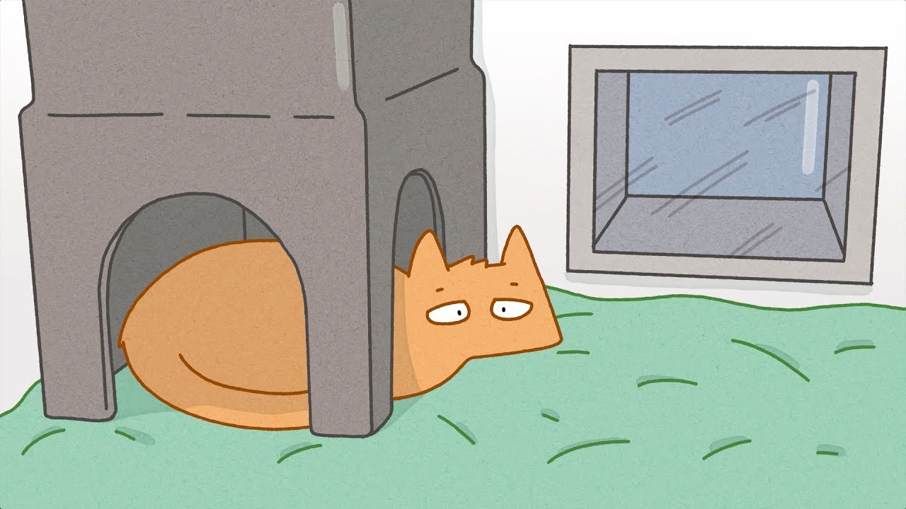 Kozal's Christmas: a festive tale from Cats Protection