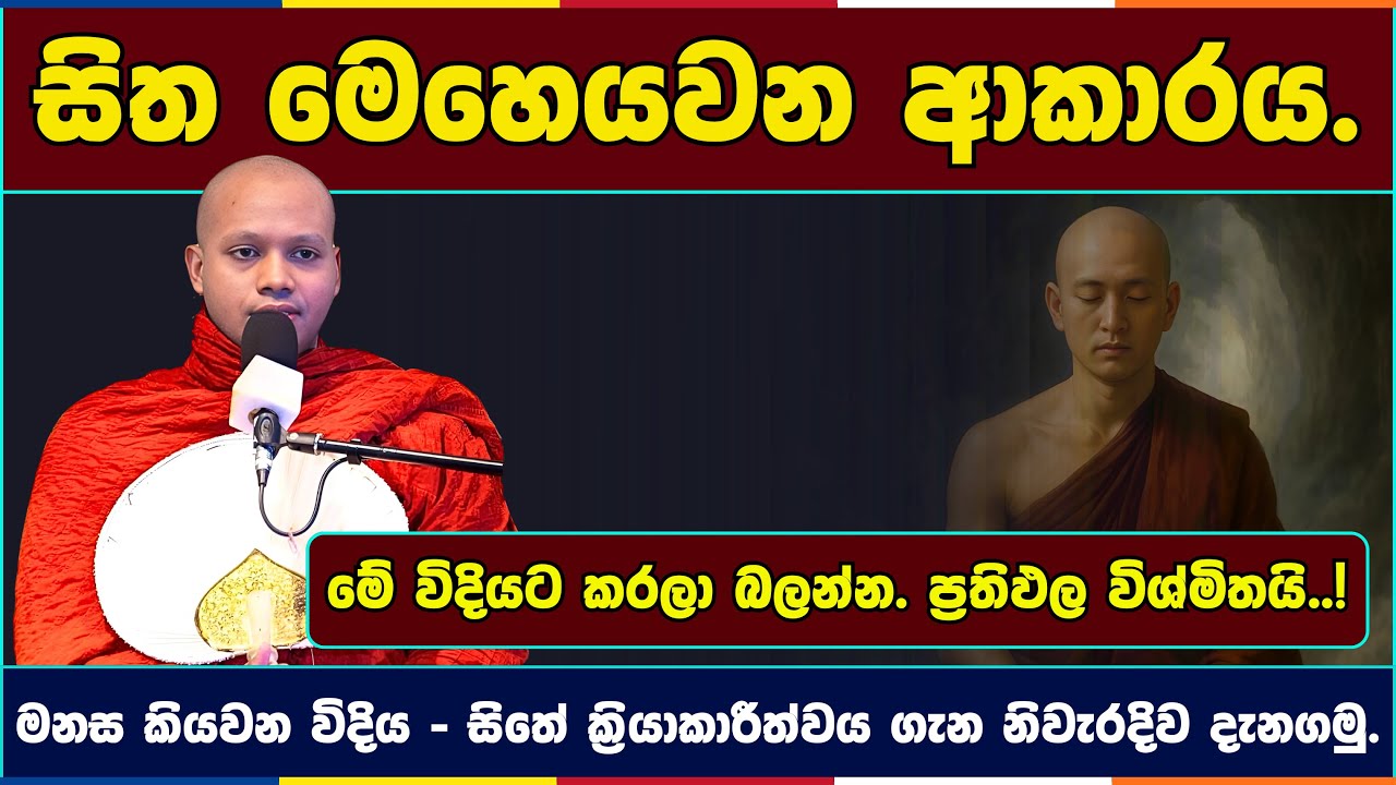 සිත මෙහෙයවන ආකාරය | Hasalaka seelavimala thero | හසලක සීලවිමල හිමි | #බණ #ධර්මදේශනා