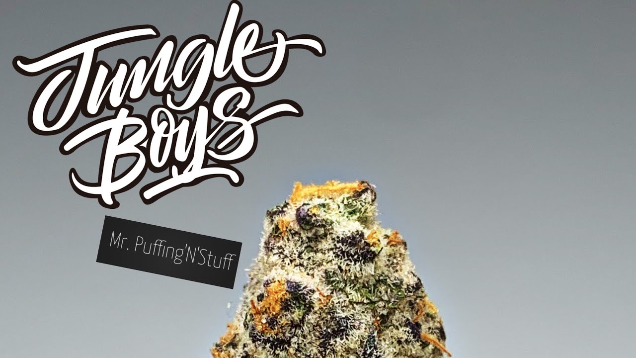 Smoking On Lemon Mints #17 By Jungle Boys