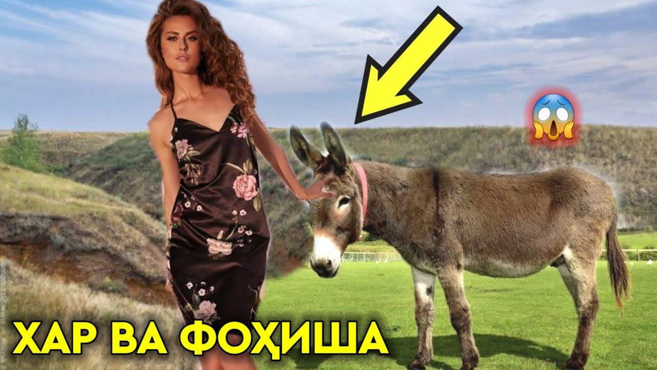ИН ДУХТАРРО БИНЕД БО ХАР ЧИ КОР КАРД😱 ХАР ВА ФОҲИША | ВОҚЕЪАИ ҲАЁТИ