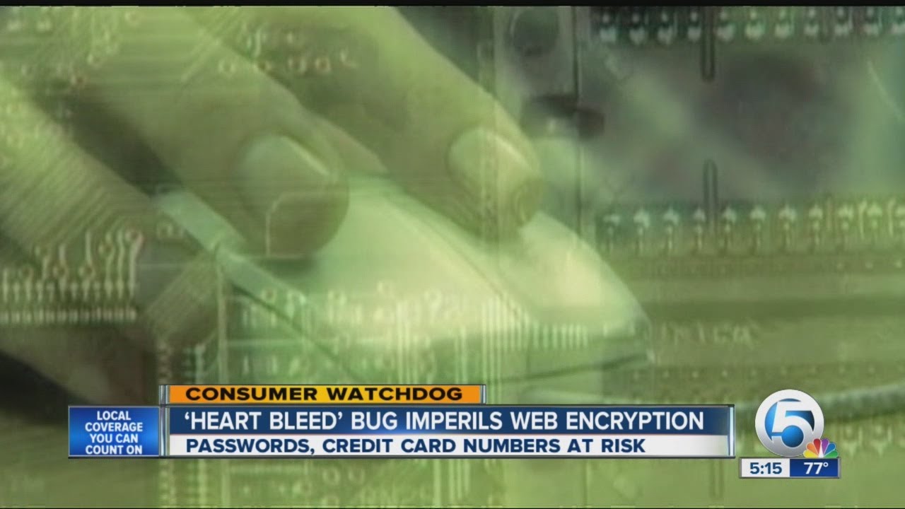 'Heart Bleed' bug imperils web encryption