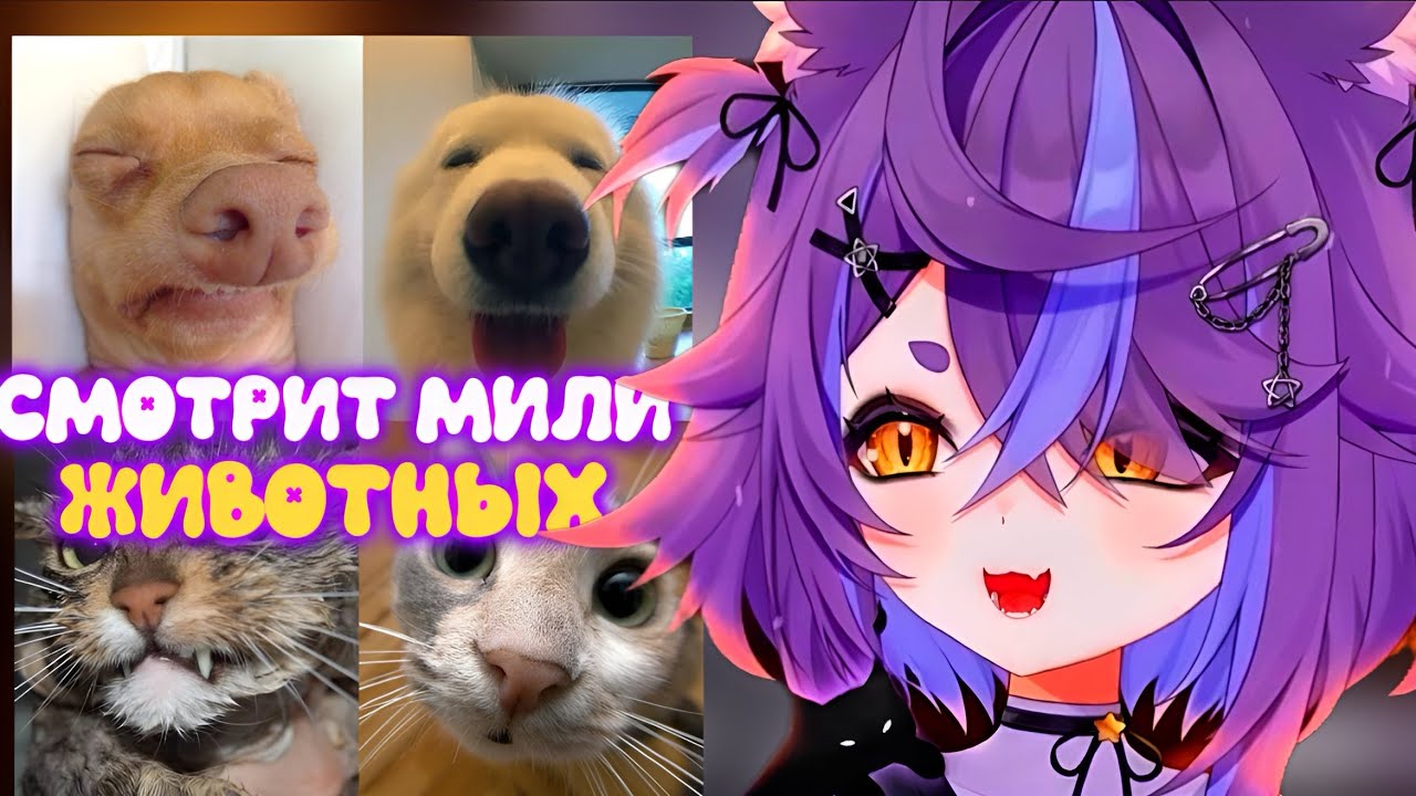 ВИТУБЕРША Нямура СМОТРИТ САМОГО ДОРОГОГО ПИТОМЦА 