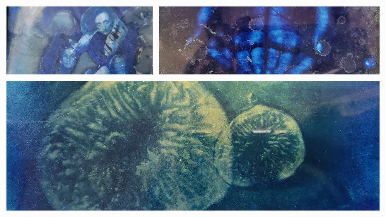 Kyanotypie na skle 2 - Cyanotype on glass 2 @maluji.online #art #photography #cyanotype #blue #gelatine