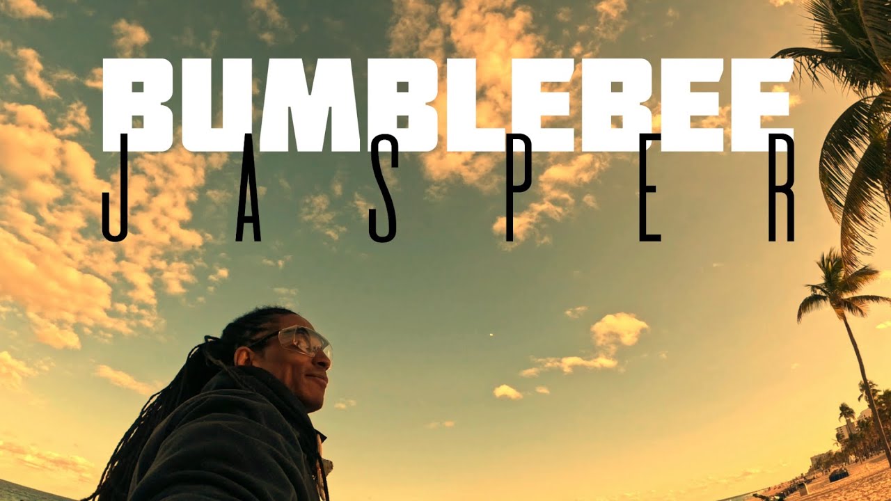 💎My Crystal Journey: BUMBLEBEE JASPER🐝