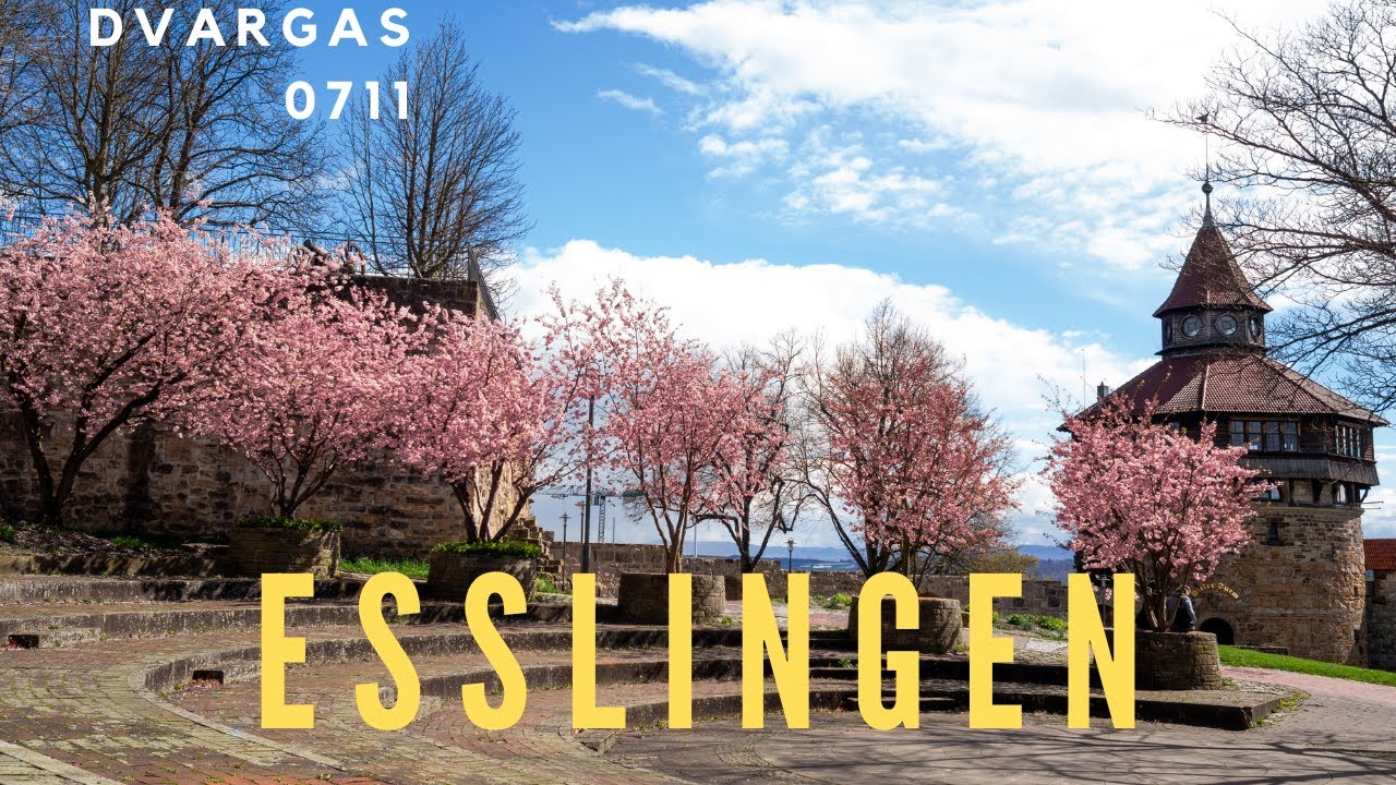 Esslingen am Neckar | Kirschblüte | Klein-Venedig | Mittelalterliche Alleen | March 2023