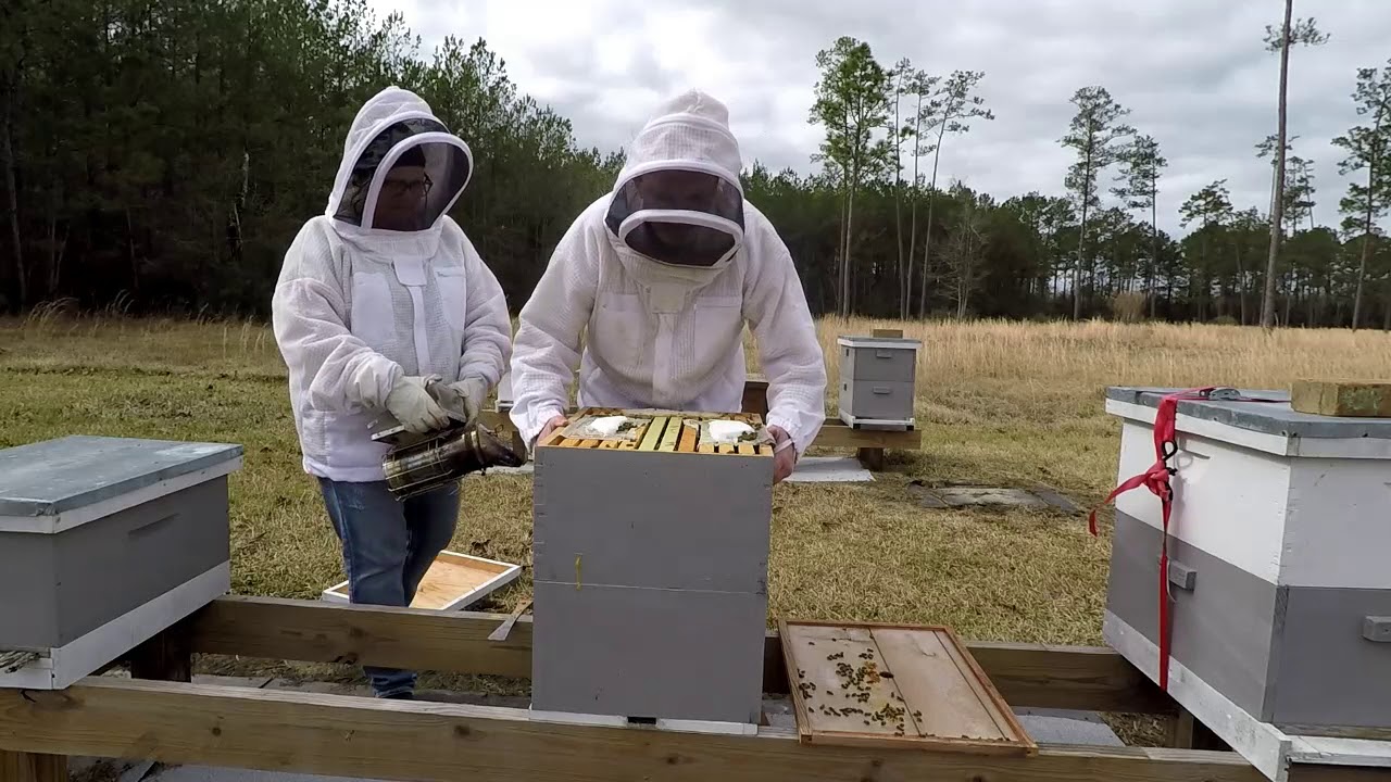 2018 Rotating Brood Boxes