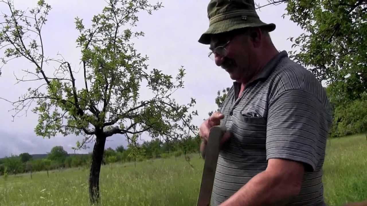 RADĚJOV-ukázková škola kosení od 