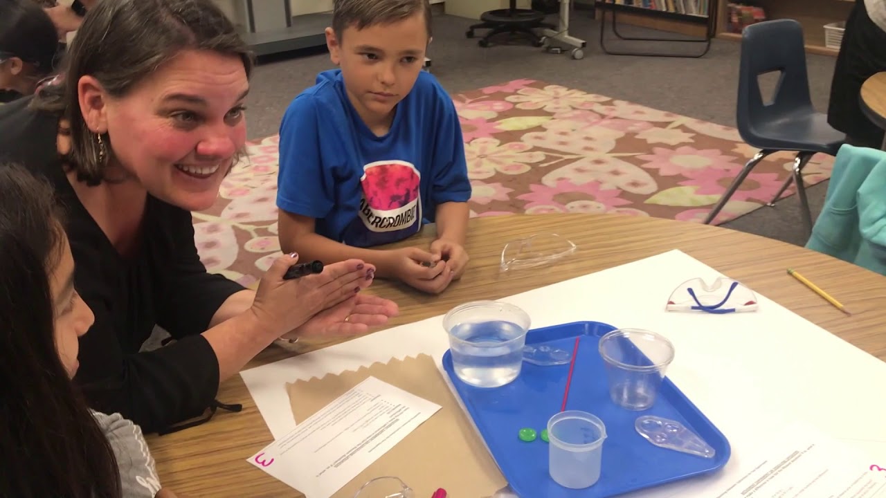 Next Generation Science Standards Lesson