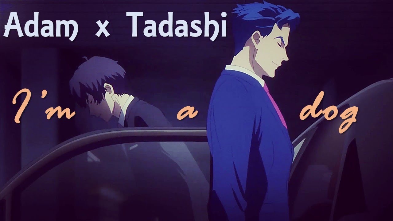 Adam x Tadashi (𝐓𝐚𝐝𝐚𝐀𝐢) ✦I'm a dog✦ 𝓢𝓴８𝓽𝓱𝓮 𝓲𝓷𝓯𝓲𝓷𝓲𝓽𝔂【𝐀𝐌𝐕】