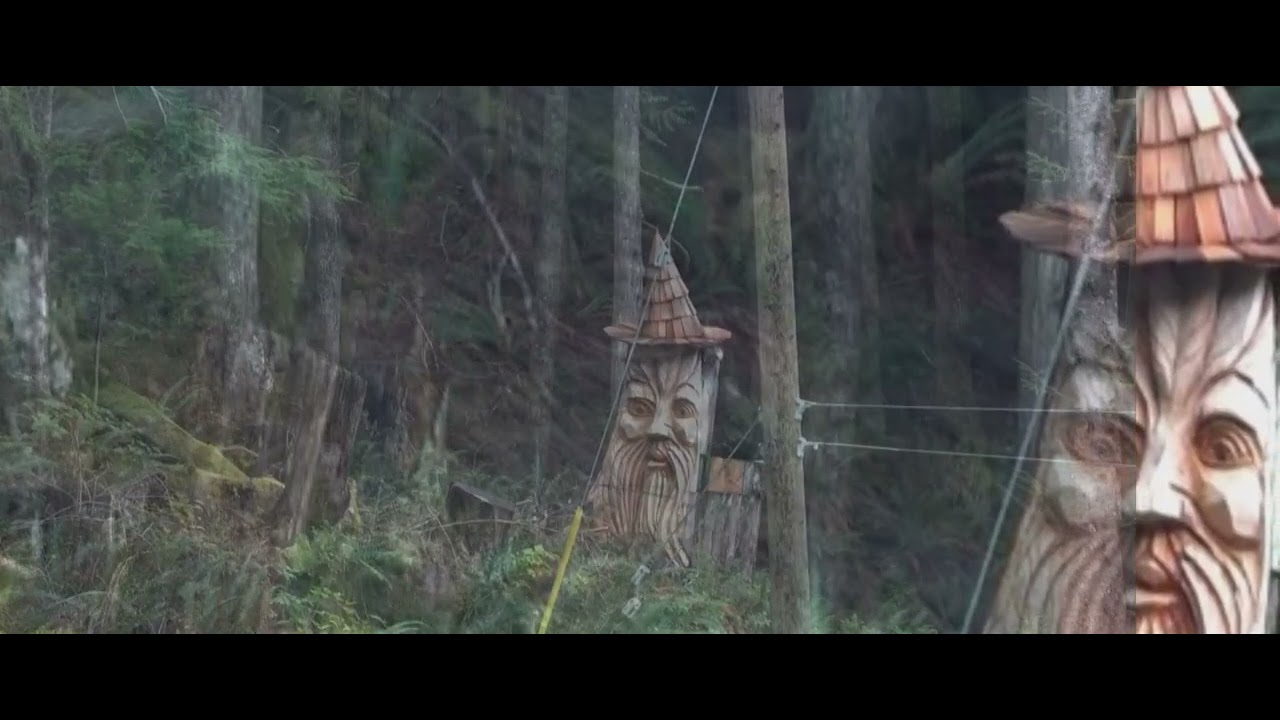 The face on the westcoast road  to Jordan river.  Found 'er.