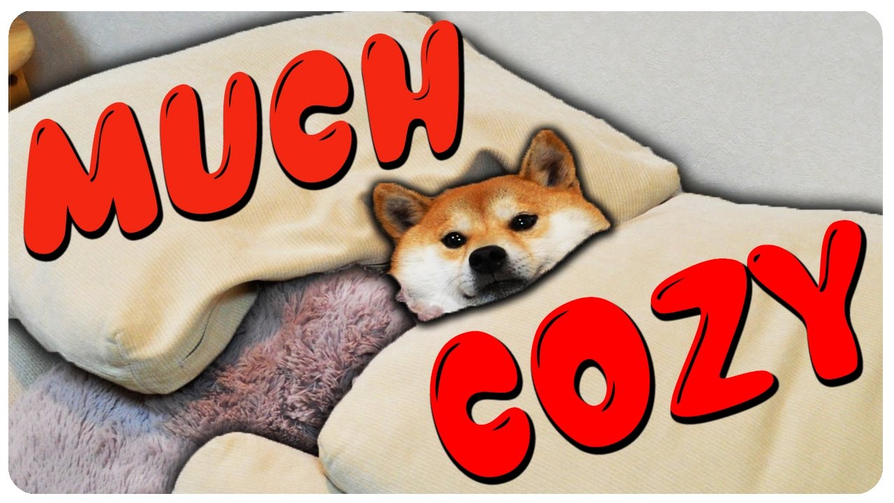 Ultimate Comfy... Right? - Cozy Gameplay | Let's Play Cozy (PC Game | Complete)