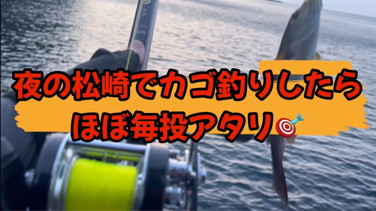 【伊豆大島/泉津の磯】残暑は夜のカゴ釣りが快適で楽しい❣️夜ならではの失敗談有り⁉️