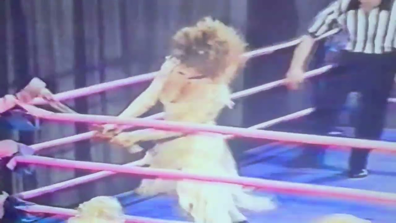 SUSIE SPIRIT Vs. DEMENTIA GLOW POWW WRESTLING CHEERLEADER MASSACHUSETTS Philadelphia Pennsylvania