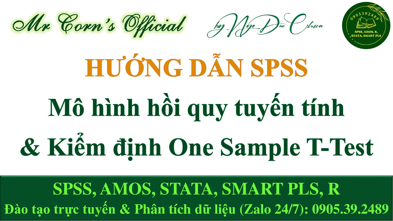 Hướng dẫn SPSS | Mô hình hồi quy tuyến tính & Kiểm định One Sample T-Test 27022026