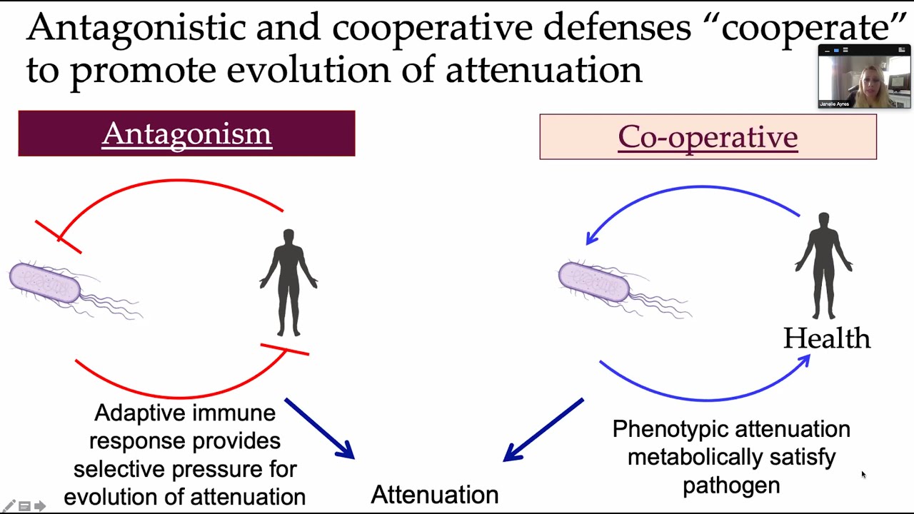 Host-pathogen interactions: Harnessing co-evolution to treat disease by Dr. Janelle Ayres